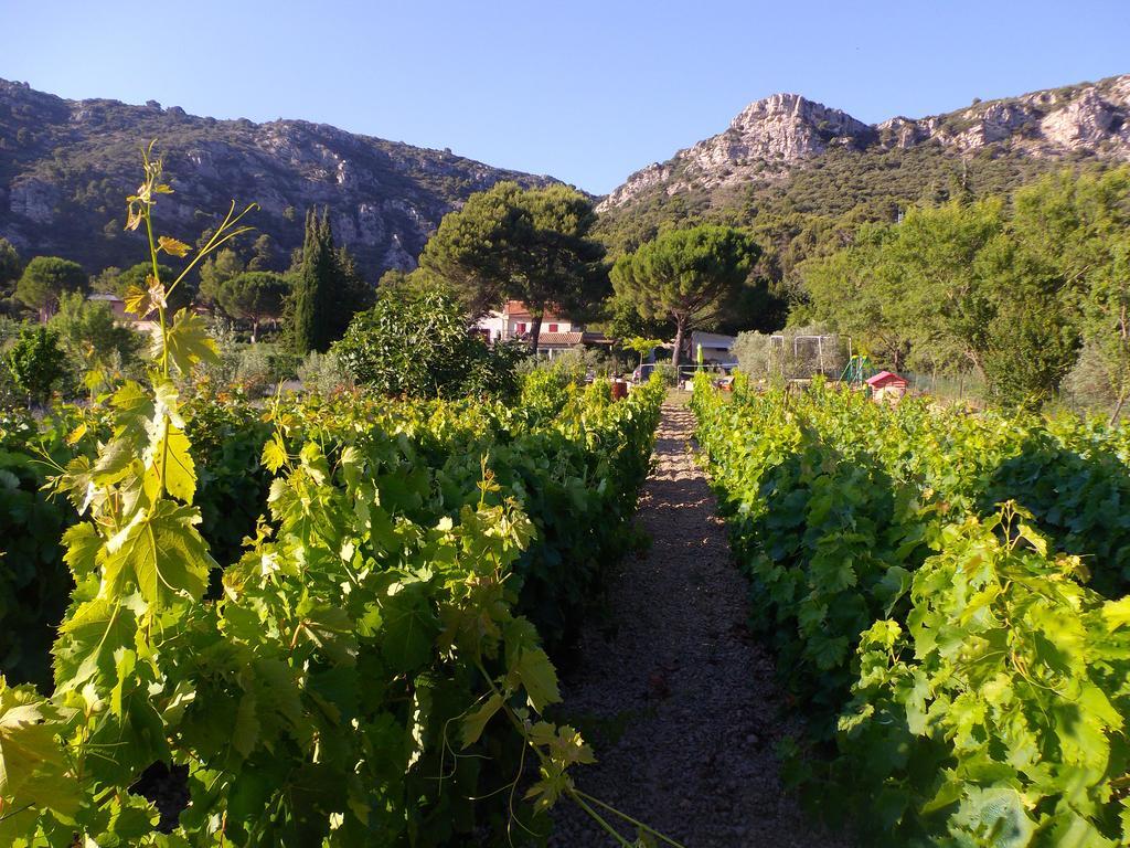 ホテル Au Havre De Paix Sainte Victoire Vauvenargues エクステリア 写真