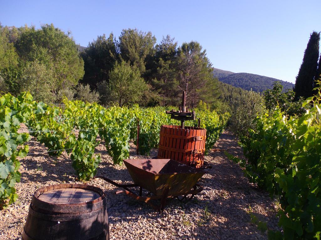 ホテル Au Havre De Paix Sainte Victoire Vauvenargues エクステリア 写真